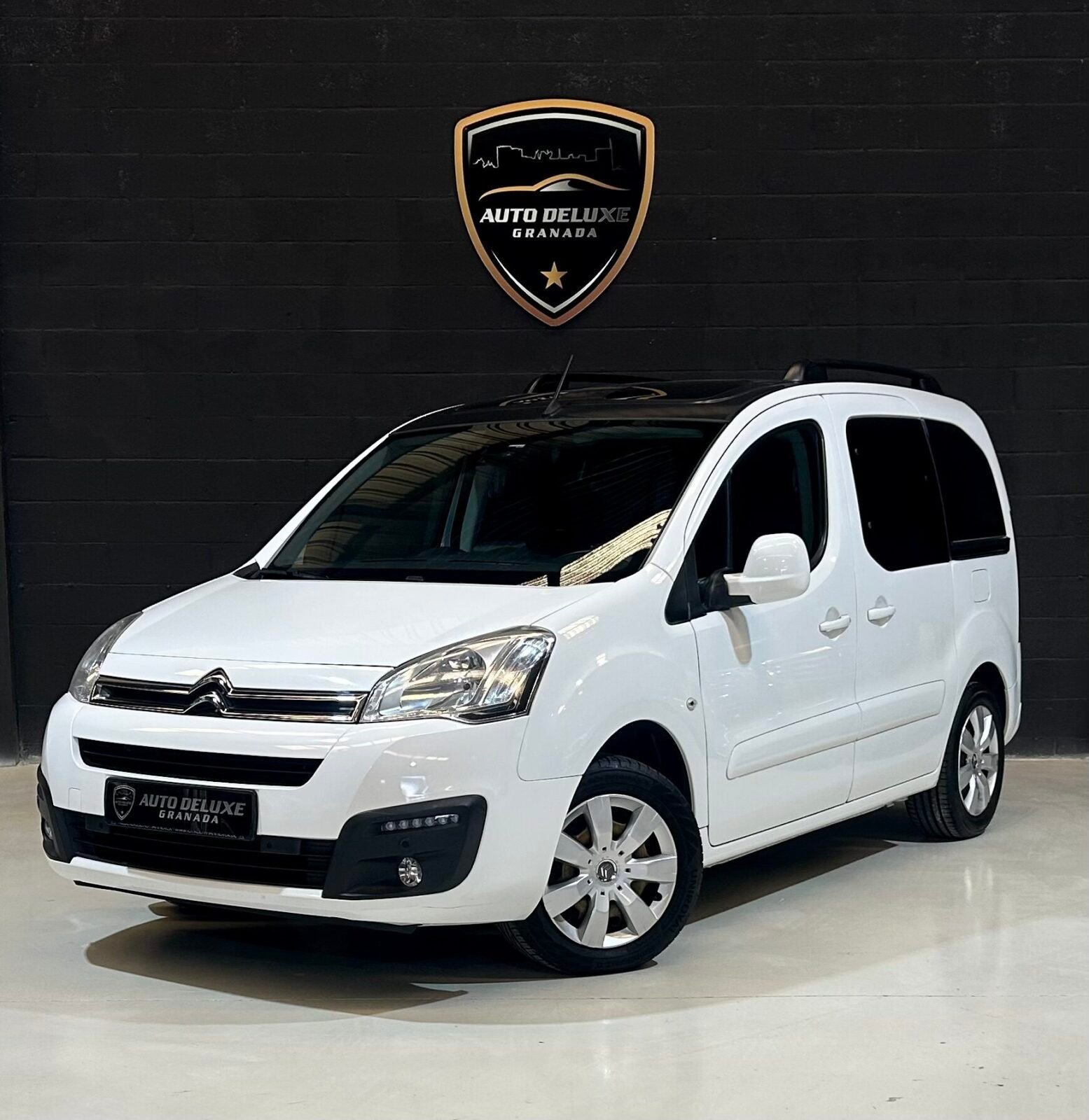 CITROEN Berlingo 1.6 Blue-Hdi 