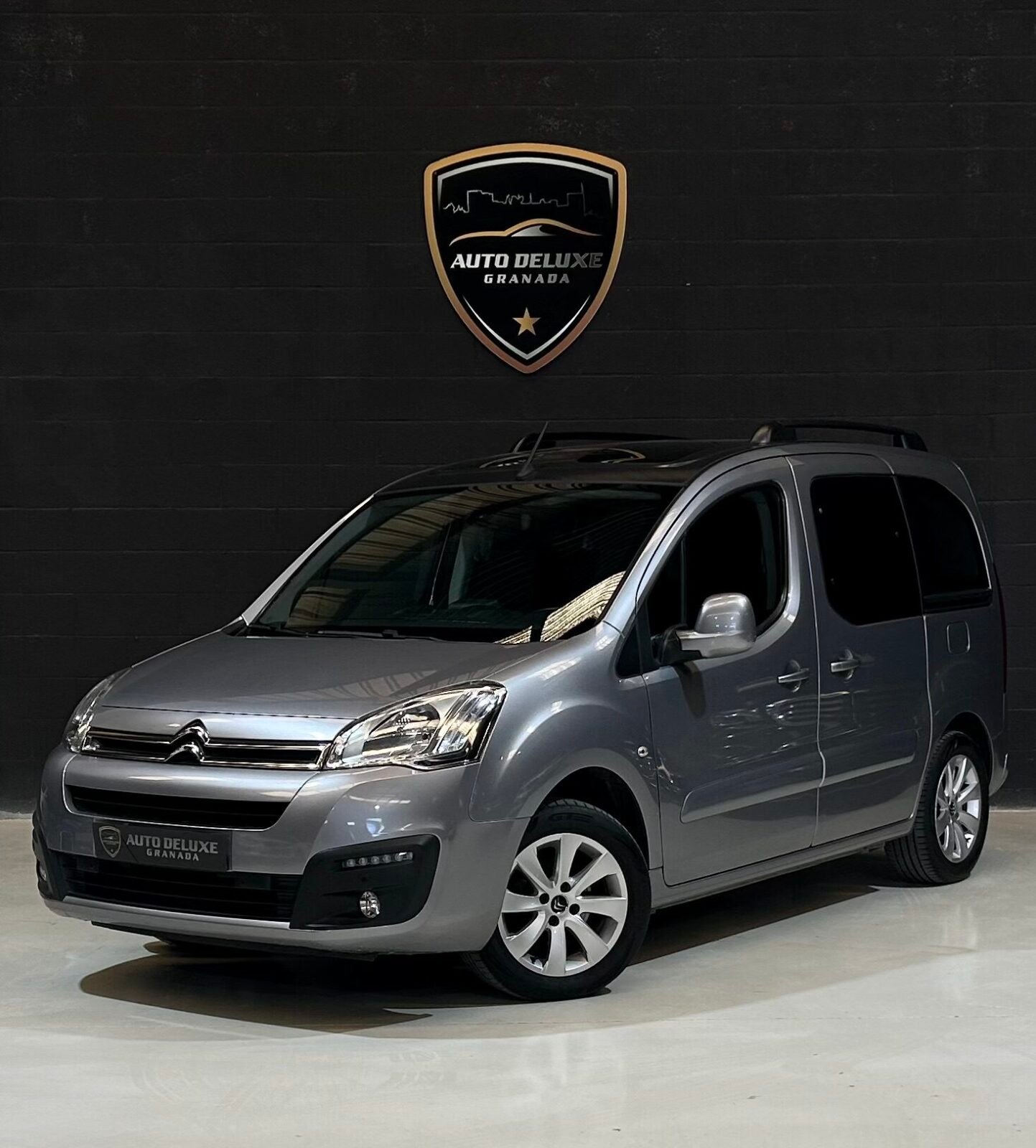 CITROEN Berlingo 1.6 Blue-Hdi