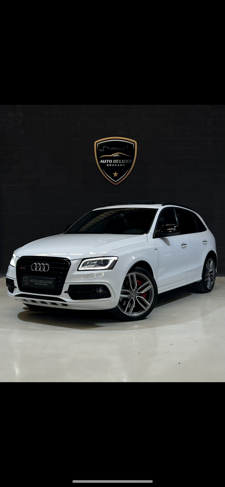 AUDI SQ5 3.0 V6 TDI COMPETITION PLUS QUATTRO 340CV